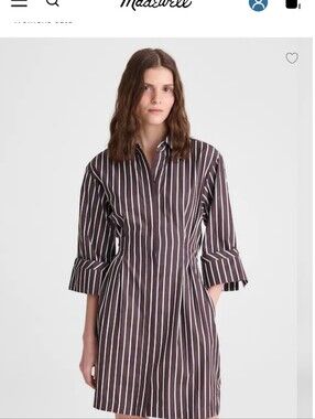 Striped Shirt Dress in Brown and White